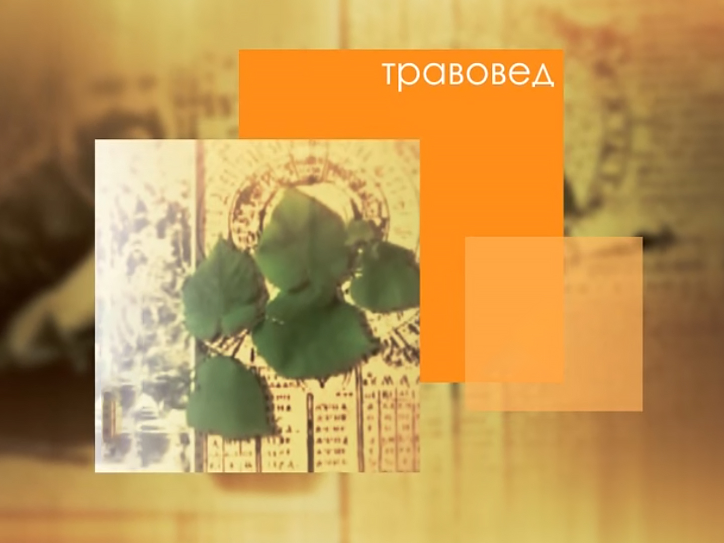 Травовед моряков