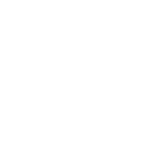 BetBoom Кубок России