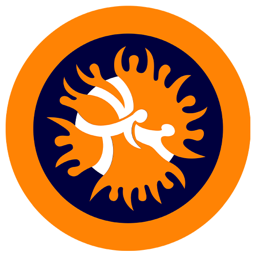 Международный турнир