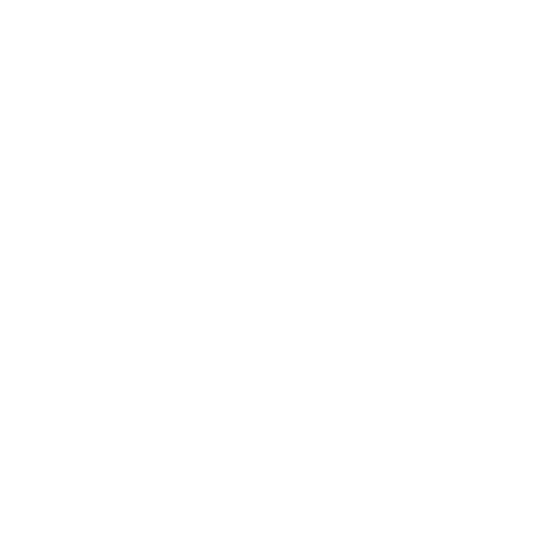 BetBoom матч сборной