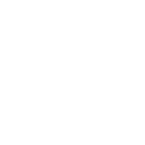 Суперкубок России
