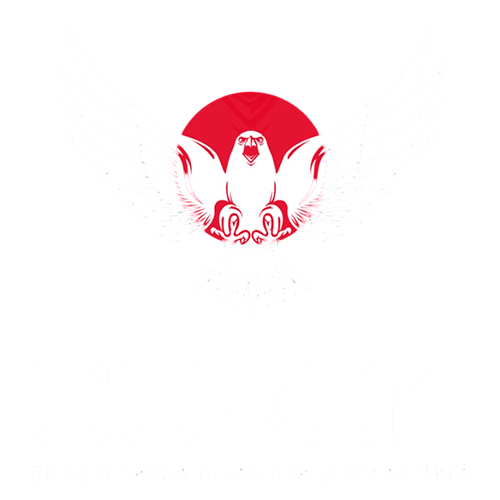 Бойцовская лига «Сокол»