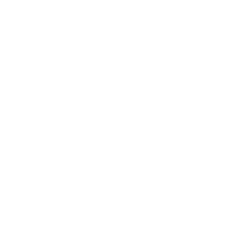 Winline Basket Cup