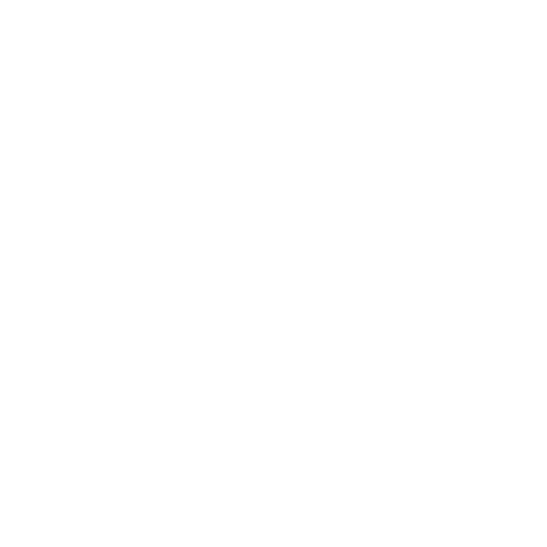 Бетсити IBA PRO 10