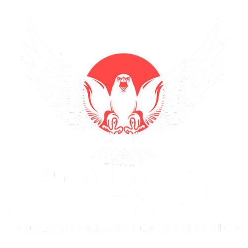 Профессиональная бойцовская лига "Сокол"