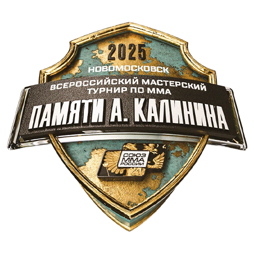 Турнир памяти Алексея Калинина 2025