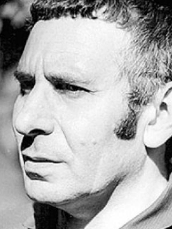 Владимир Богомолов