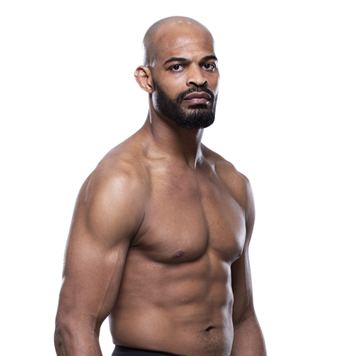 Дэвид Бранч