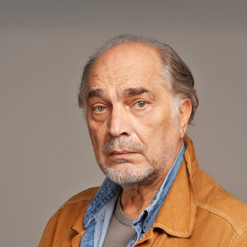 Постер Воислав Брайович