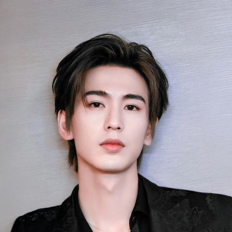 Постер Чжан Линхэ