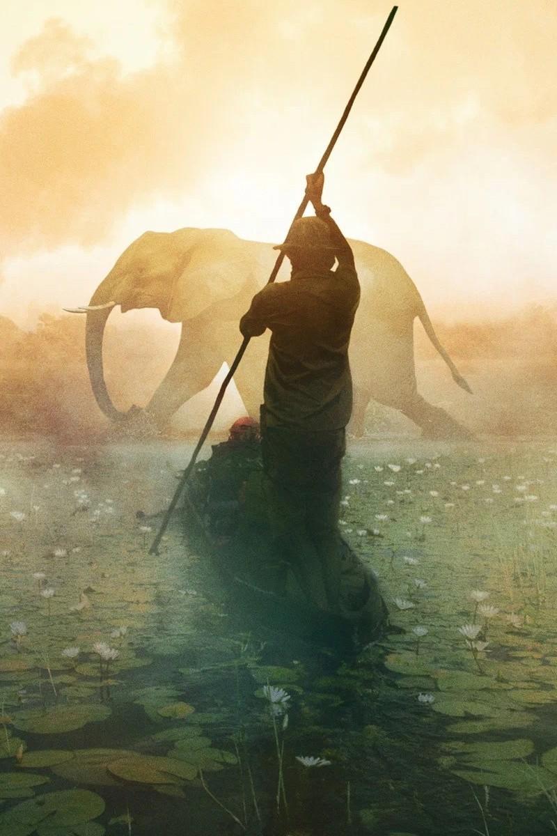 Вдоль по Окаванго (vdol-po-okavango) Документальный фильм