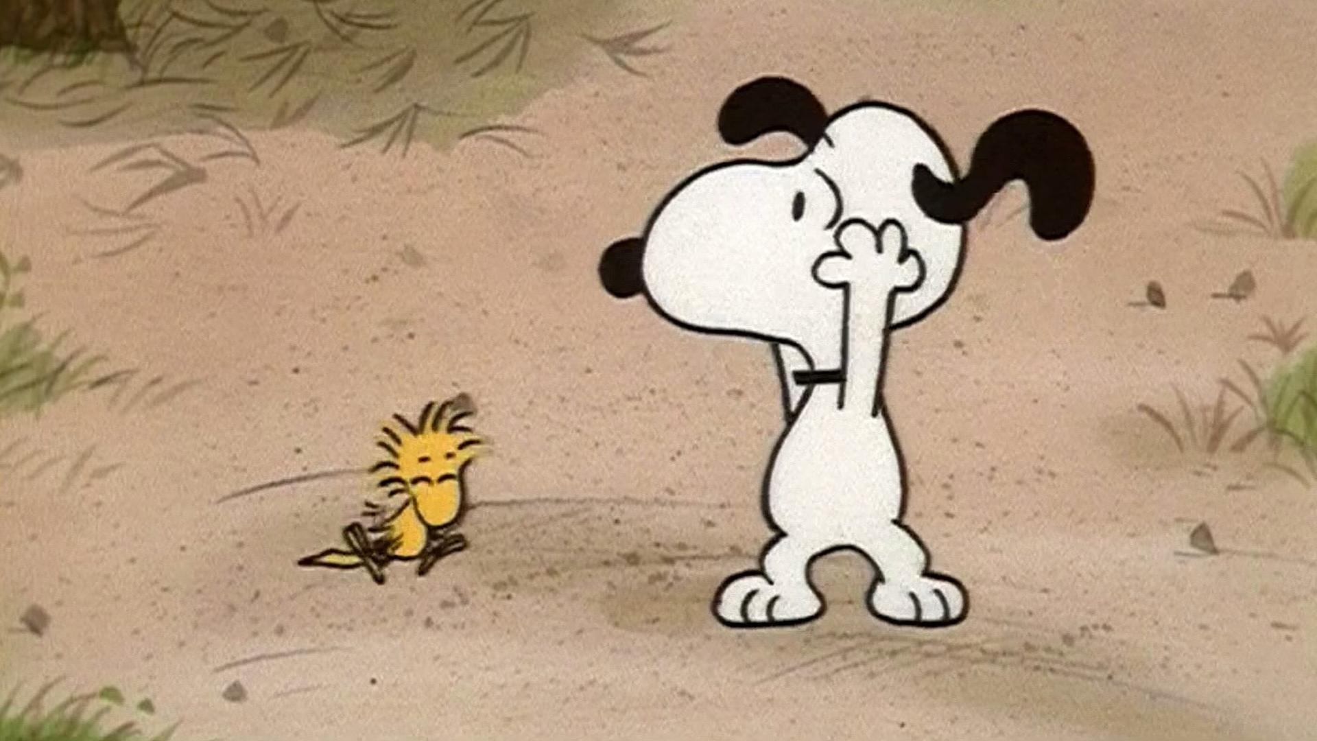 Спасай свою жизнь, Чарли Браун (spasaj-svoju-zhizn-charli-braun) Мультфильм 1977