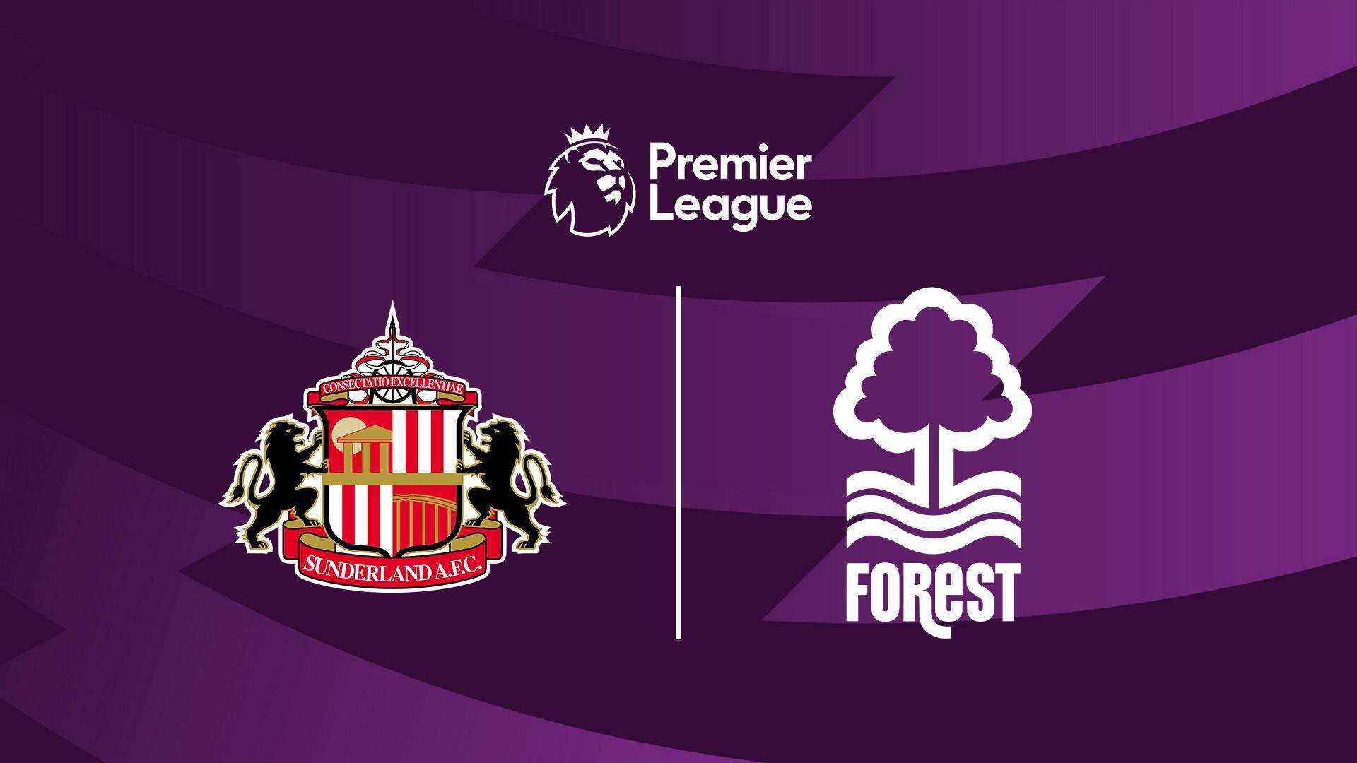 Премьер Лига: Сандерленд - Ноттингем (premer-liga-sanderlend-nottingem) Спорт