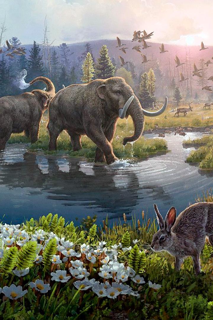 En busca del ADN prehistórico (en-busca-del-adn-prehistrico) Документальный фильм