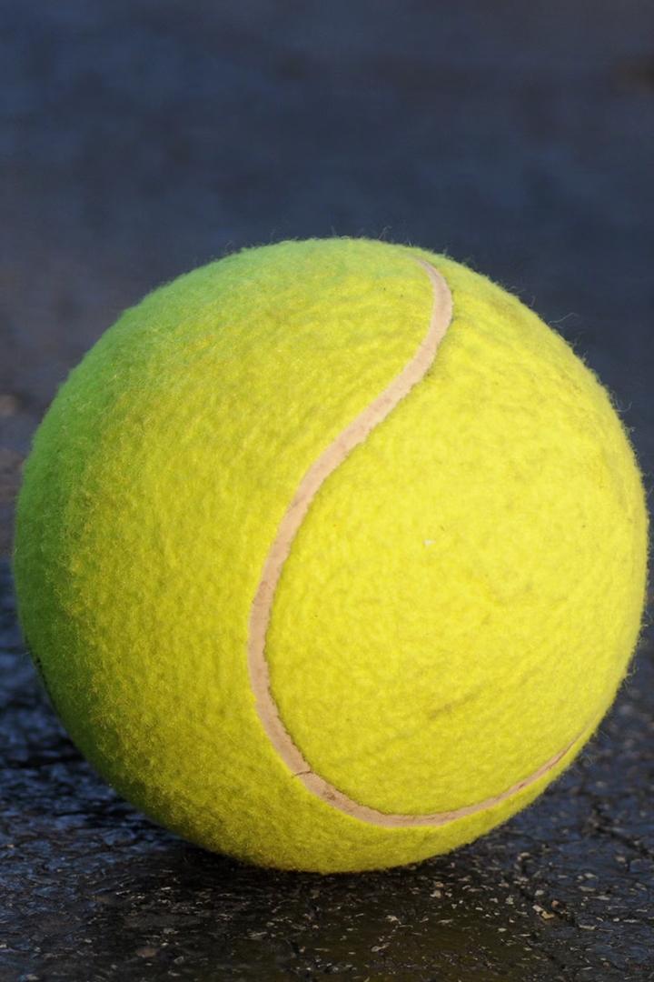 Теннис (tennis) Досуг, хобби