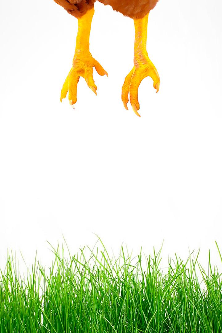 Песни лета (pesni-leta) Фильм 2022