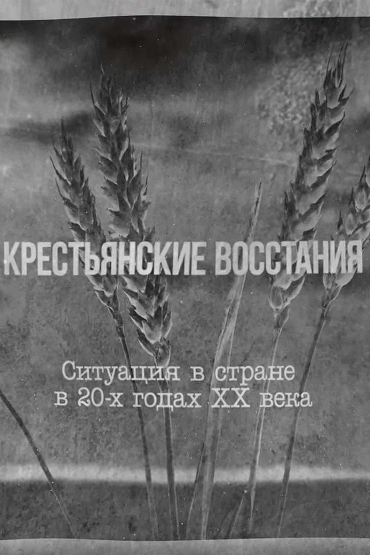 Крестьянские восстания. Ситуация в стране в 20-Х Годах ХХ Века 1 (krestjanskie-vosstanija-situatsija-v-strane-v-20-h-godah-hh-veka-1) Документальный фильм