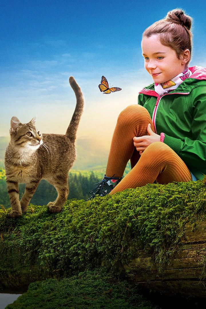 Мой котик и я (moj-kotik-i-ja) Фильм 2023