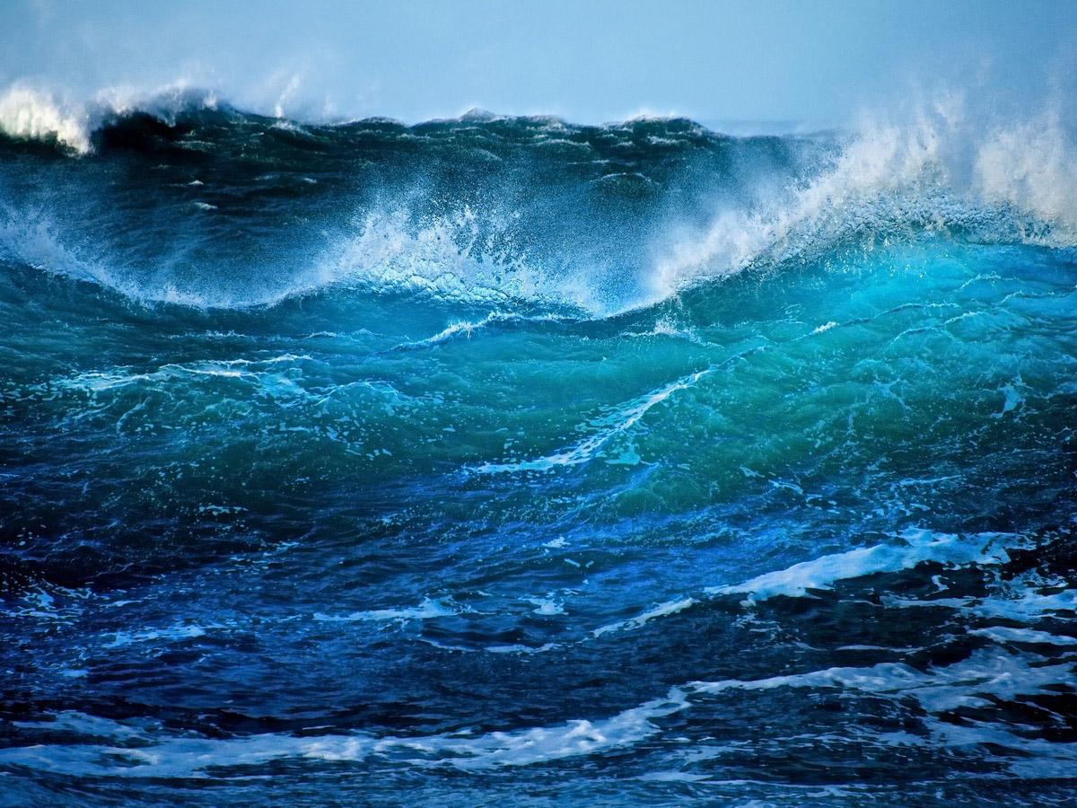 Спасая океан (spasaja-okean) Познавательное