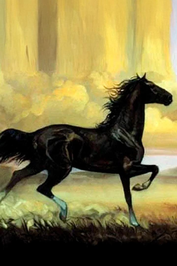 Мустанг-иноходец (mustang-inohodets) Фильм 1975