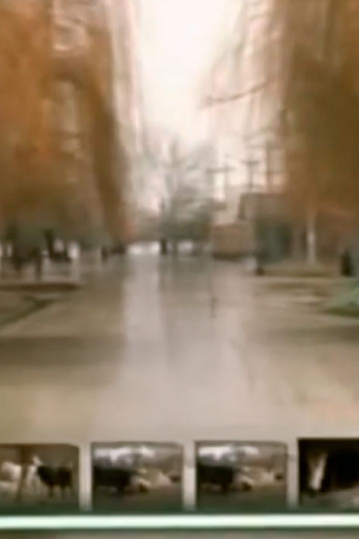 Сельская жизнь (selskaja-zhizn) Досуг, хобби