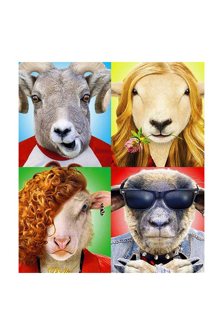 Овечка Долли была злая и рано умерла (ovechka-dolli-byla-zlaja-i-rano-umerla) Фильм 2015