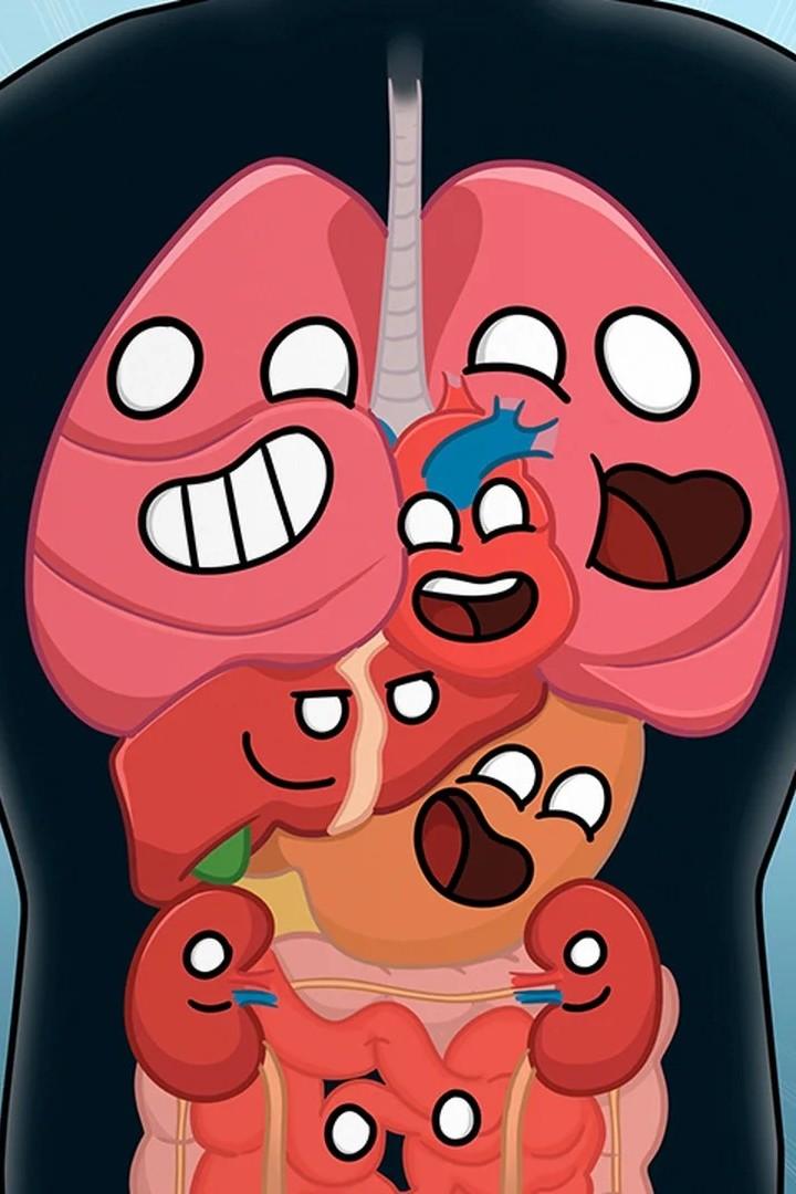 Наше Тело (nashe-telo) Мультсериал 2023