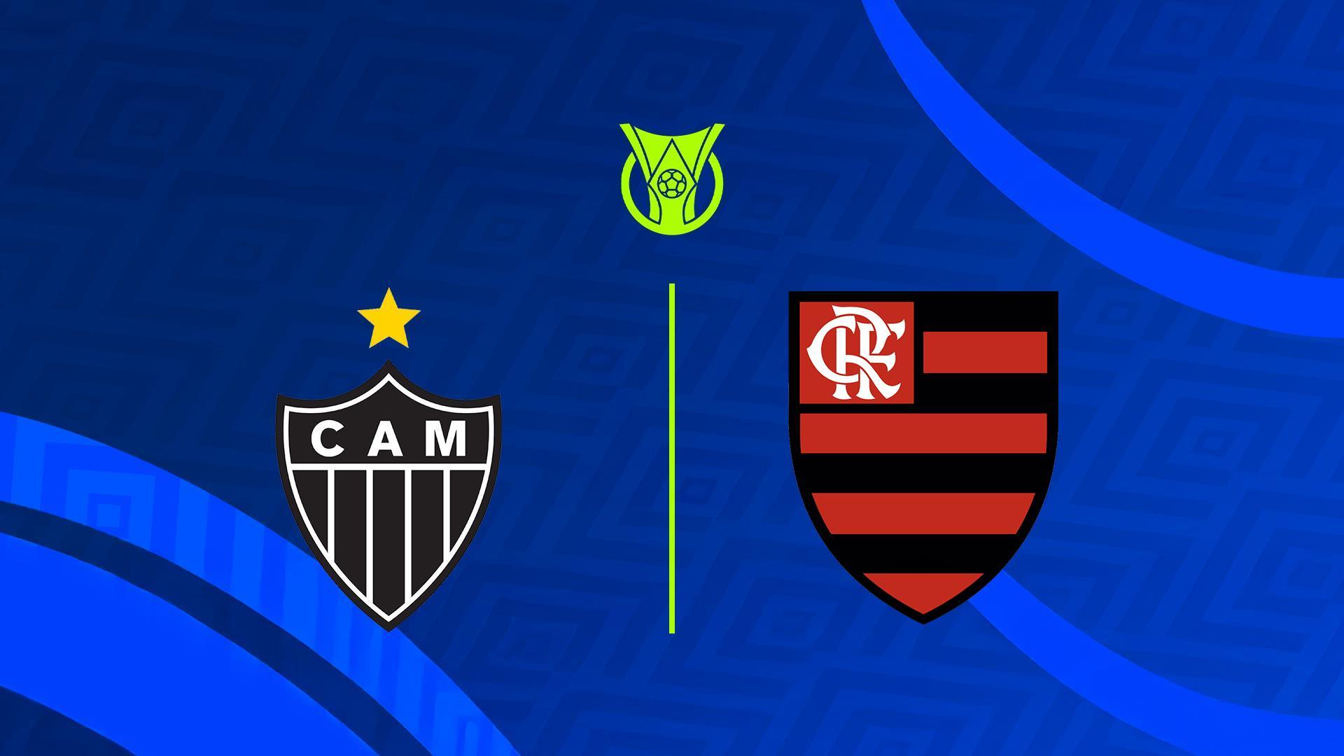 Чемпионат Бразилии. Атлетико Минейро - Фламенго (chempionat-brazilii-atletiko-minejro-flamengo) Спорт