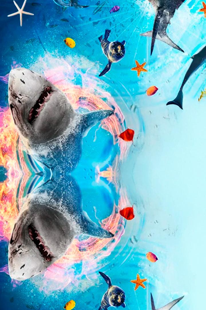 Shark Bait (shark-bait) Документальный фильм