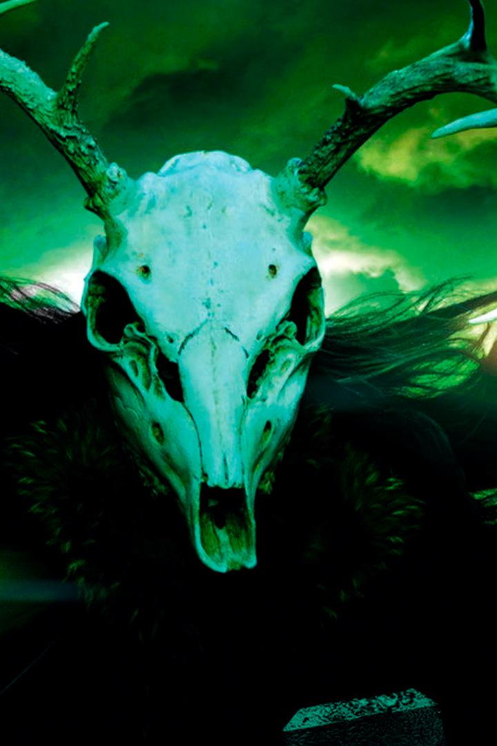 The Wild Hunt (the-wild-hunt) Фильм 2009