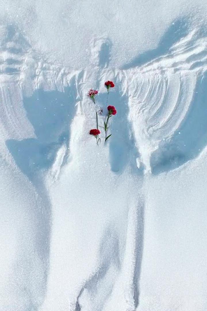 Эльбрус. Точка невозврата (elbrus-tochka-nevozvrata) Документальный сериал