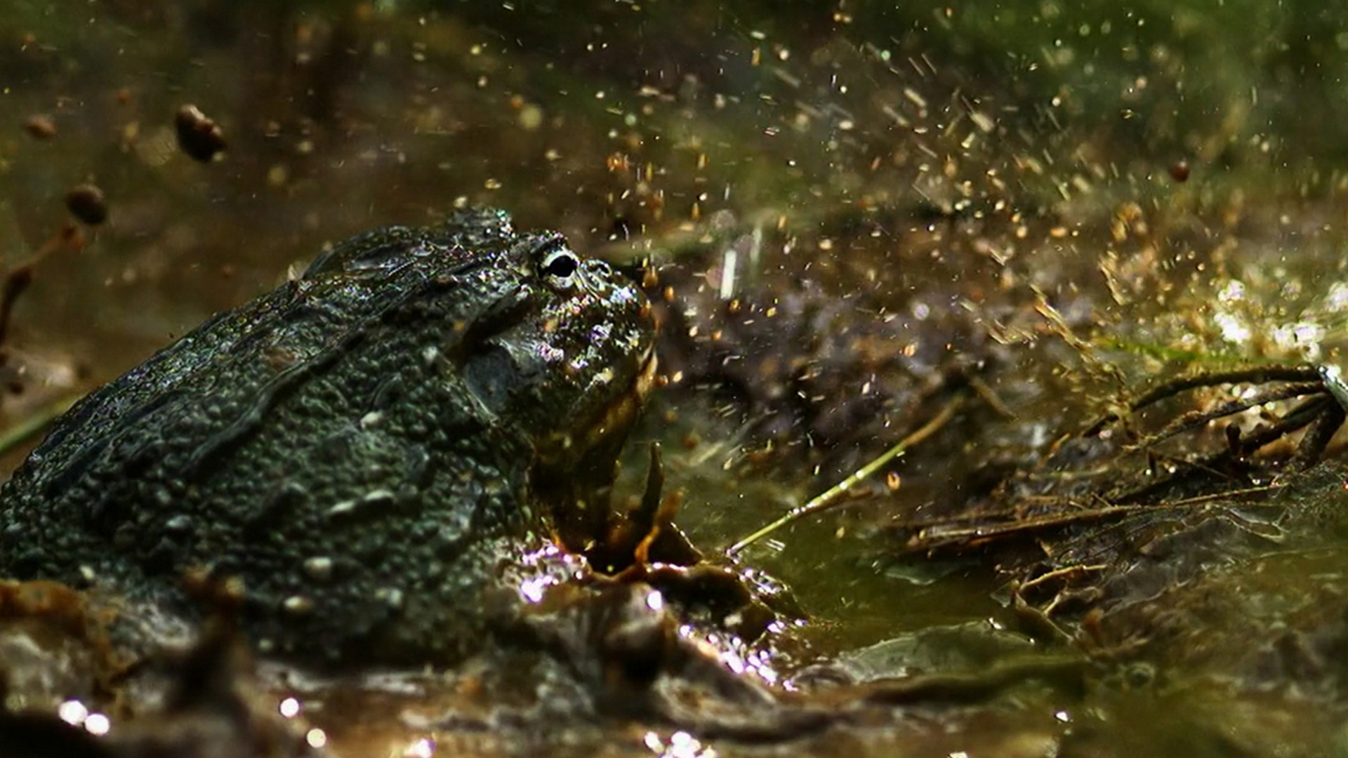 Скорость жизни (skorost-zhizni) Документальный сериал