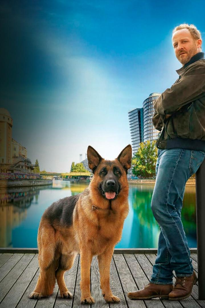 Rex Vienna Calling (rex-vienna-calling) Сериал 2026