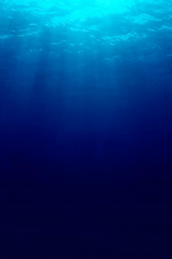 Deep Ocean (deep-ocean) Познавательное