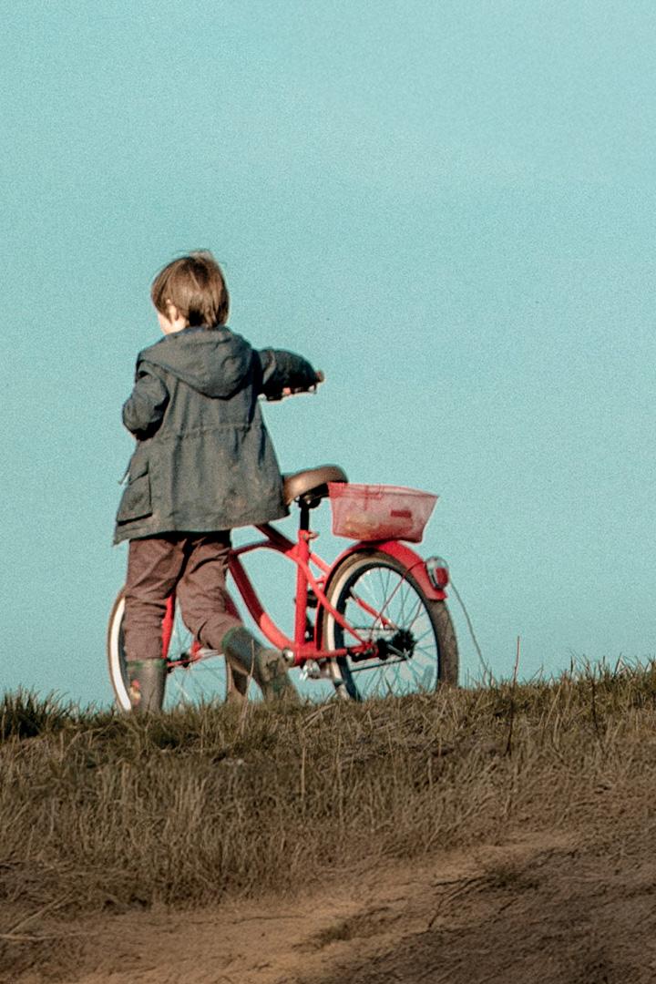 Das rote Rad (das-rote-rad) Фильм 2018