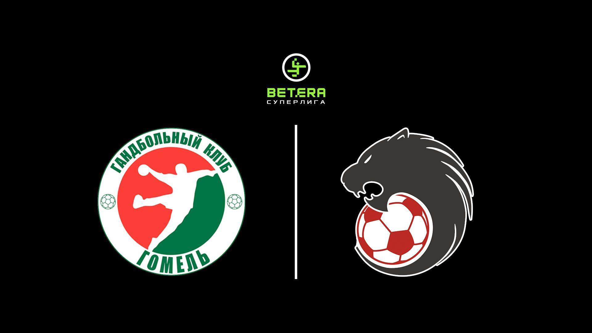 Гандбол. Чемпионат Беларуси. Женщины. Финал. 5-й матч. ГК Гомель – БНТУ-БелАЗ (Минск) (gandbol-chempionat-belarusi-zhenschiny-final-5-j-match-gk-gomel-bntu-belaz-minsk) Спорт