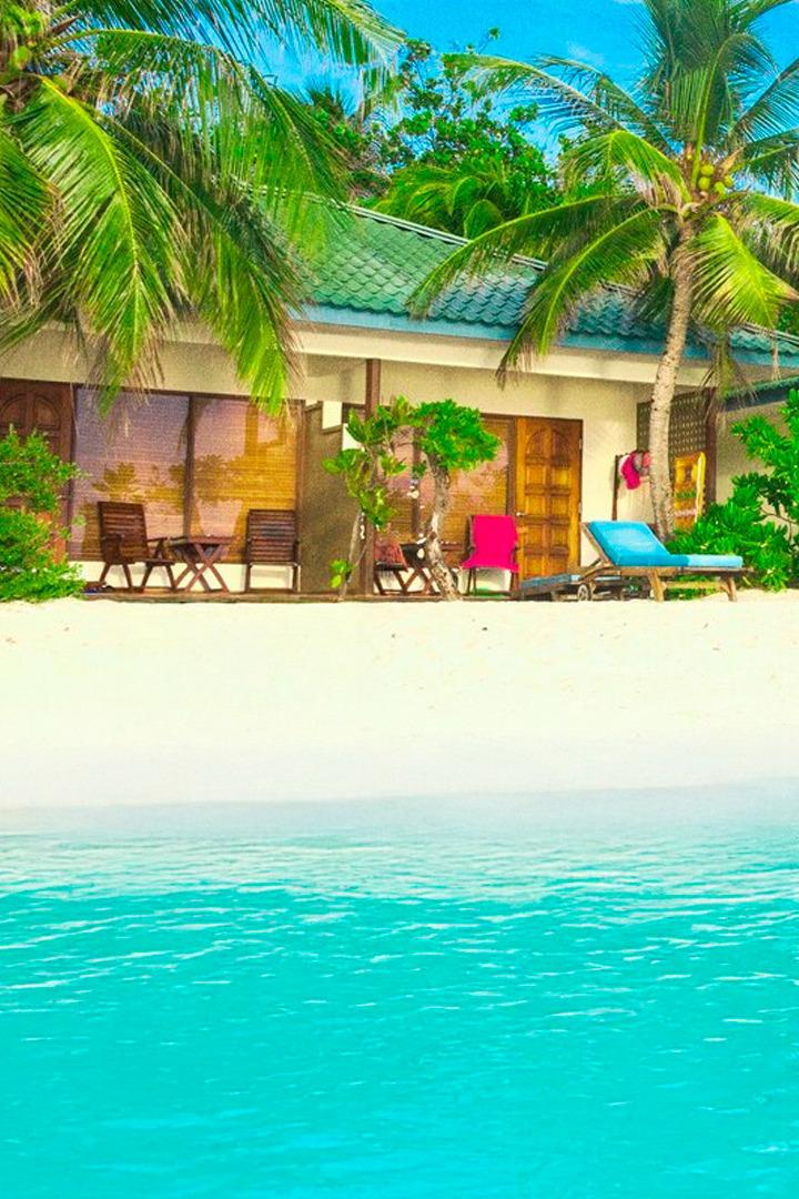 Tropic Like It's Hot (tropic-like-its-hot) Досуг, хобби