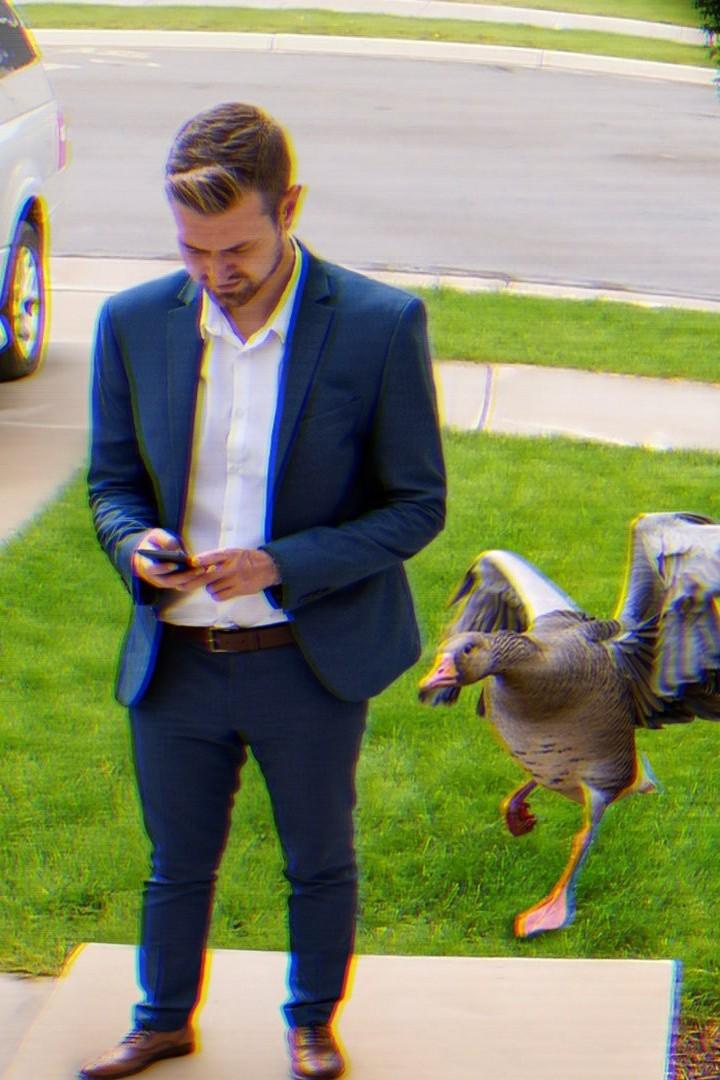 Neighborhood Watch (neighborhood-watch) Реалити-шоу