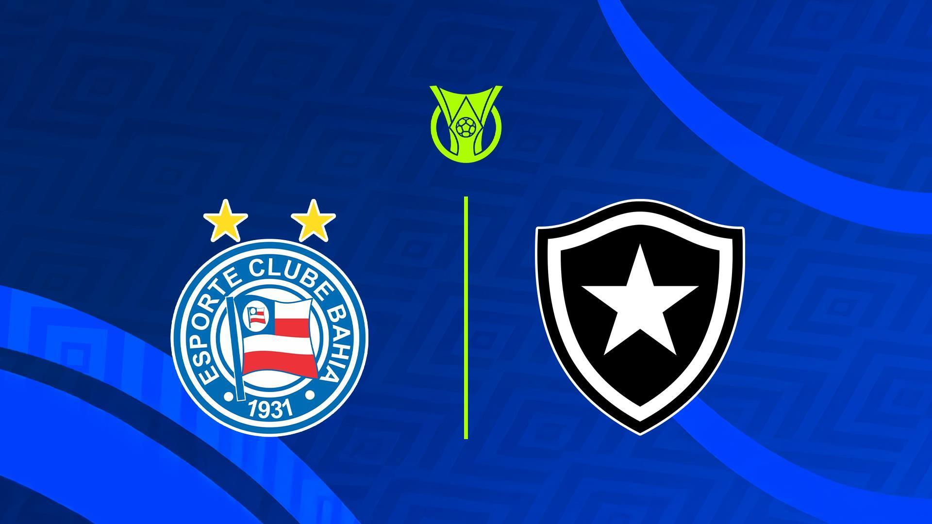 Чемпионат Бразилии. Баия - Ботафого (chempionat-brazilii-baija-botafogo) Спорт
