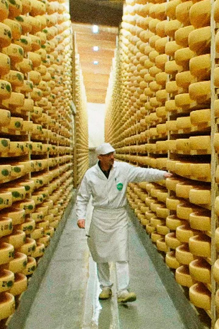 Конте - лучший из французских сыров? (konte-luchshij-iz-frantsuzskih-syrov) Документальный фильм