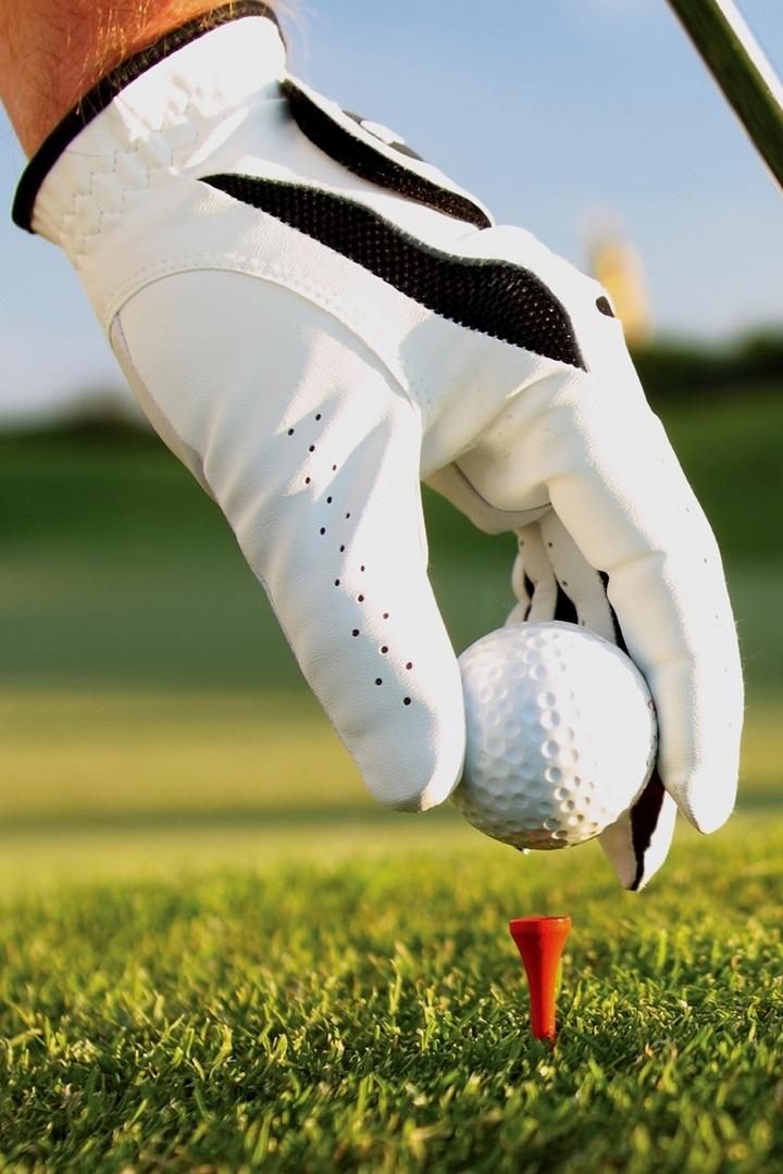 Академия телеканала «Гольф» (akademija-telekanala-golf) ТВ-шоу