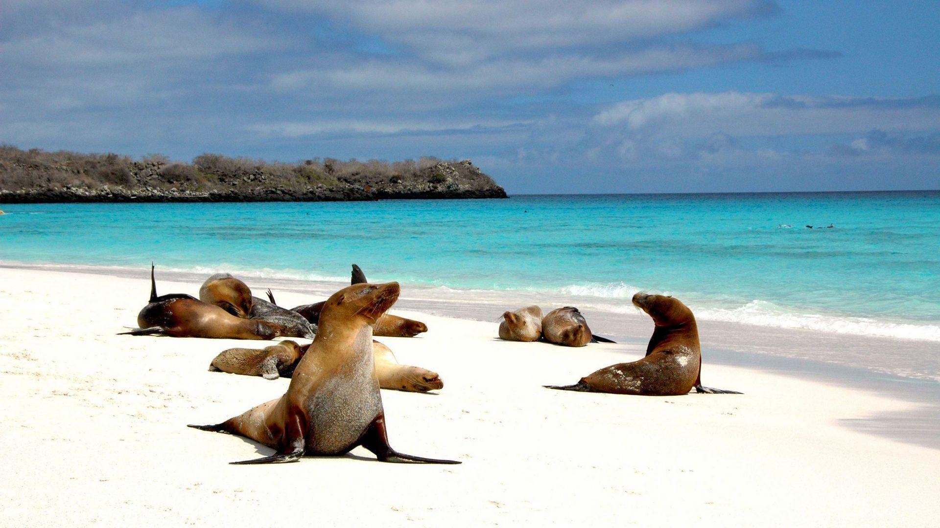 Миссия «Галапагос» (missija-galapagos) Документальный сериал