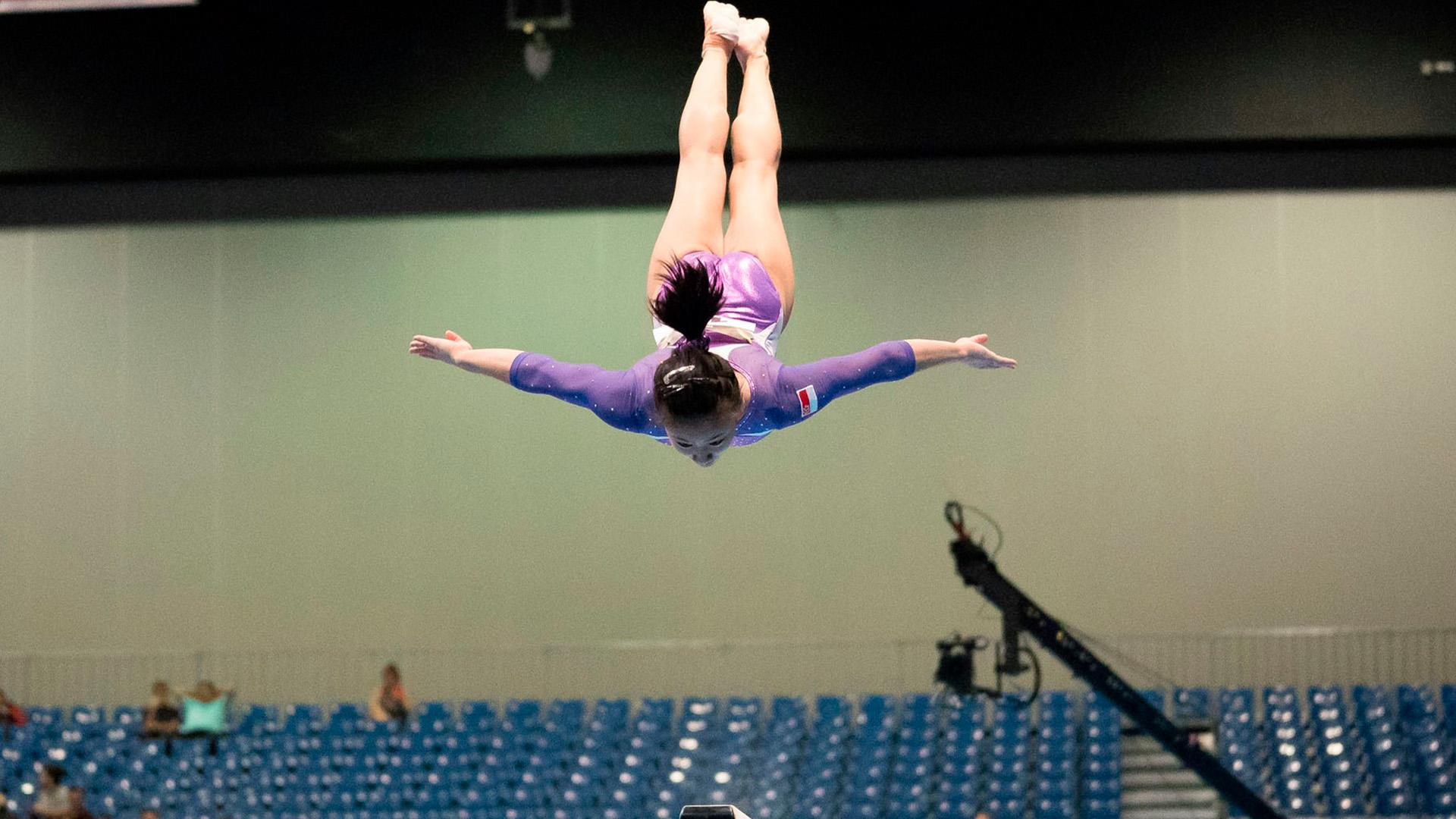 Спортивная гимнастика (sportivnaja-gimnastika) Спорт