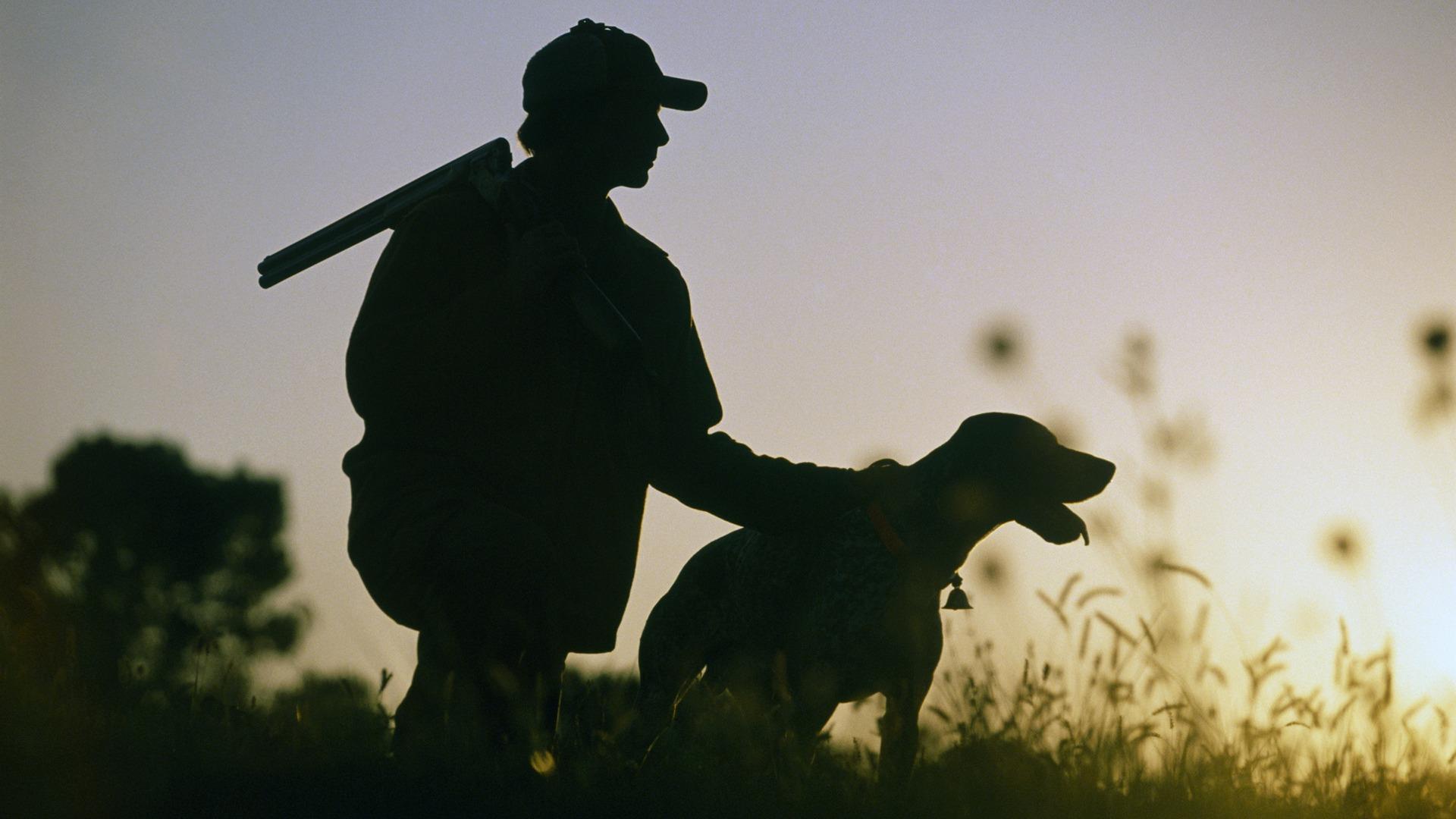 Охота и охотничьи собаки (ohota-i-ohotnichi-sobaki) Документальный фильм