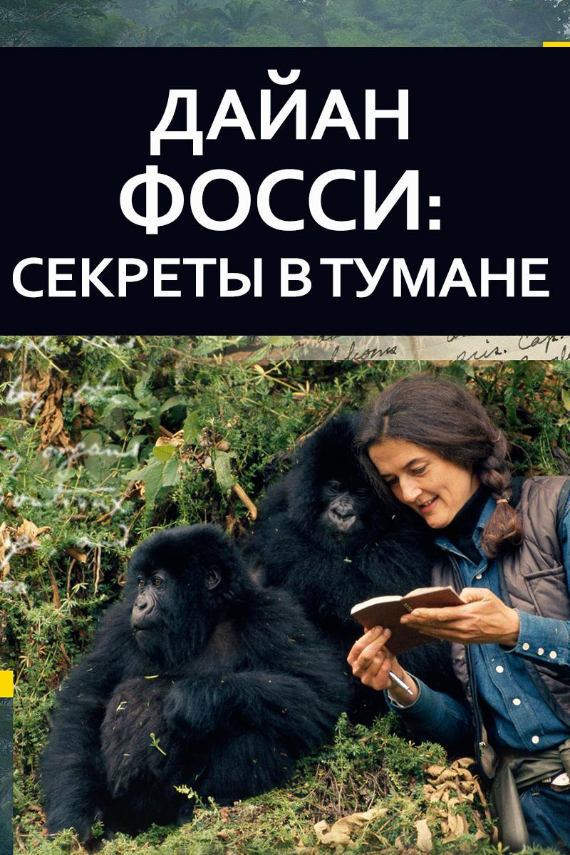 Дайан Фосси: Секреты в тумане (dajan-fossi-sekrety-v-tumane) Документальный сериал