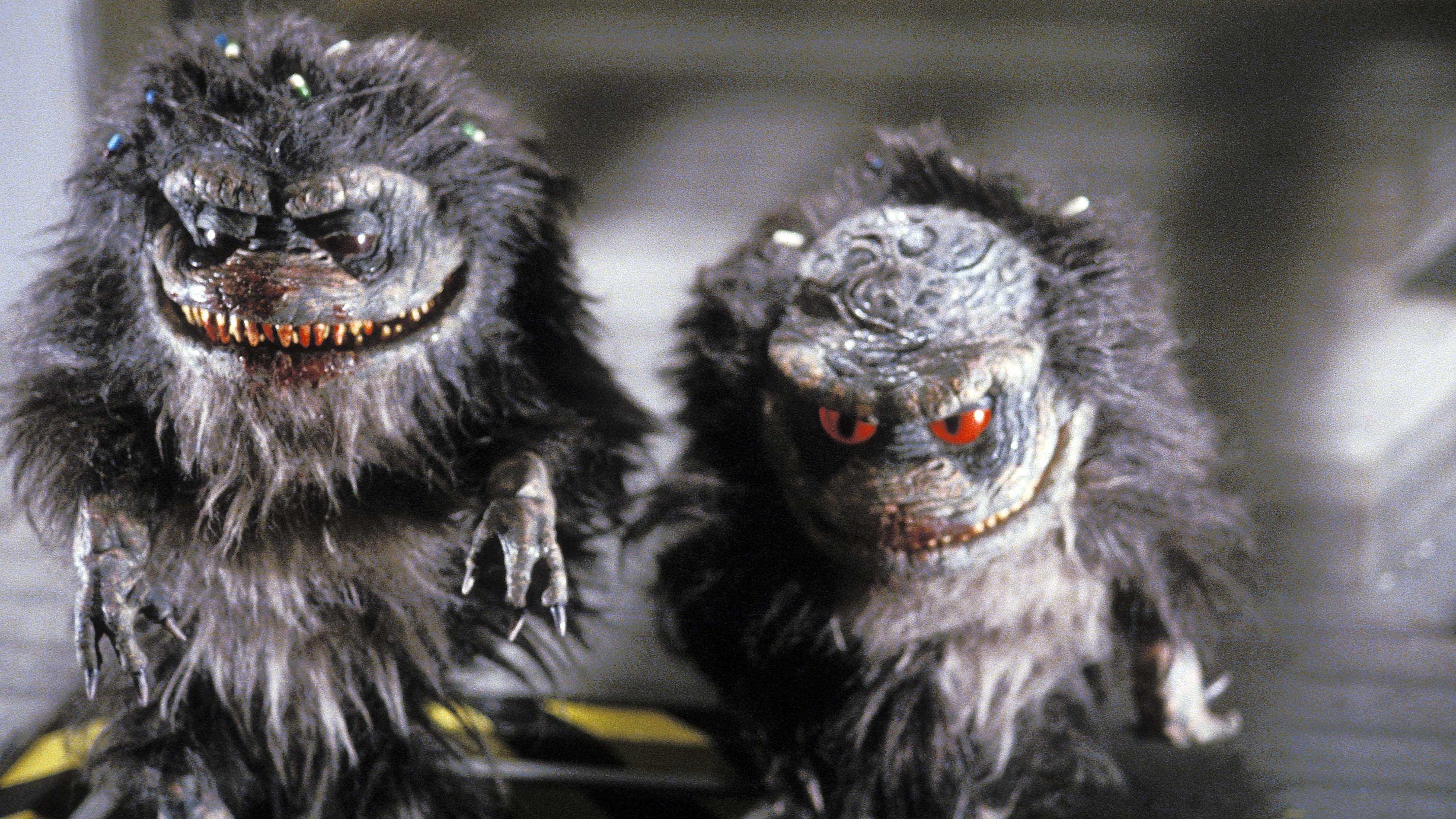 Зубастики-4 (zubastiki-4) Фильм 1991