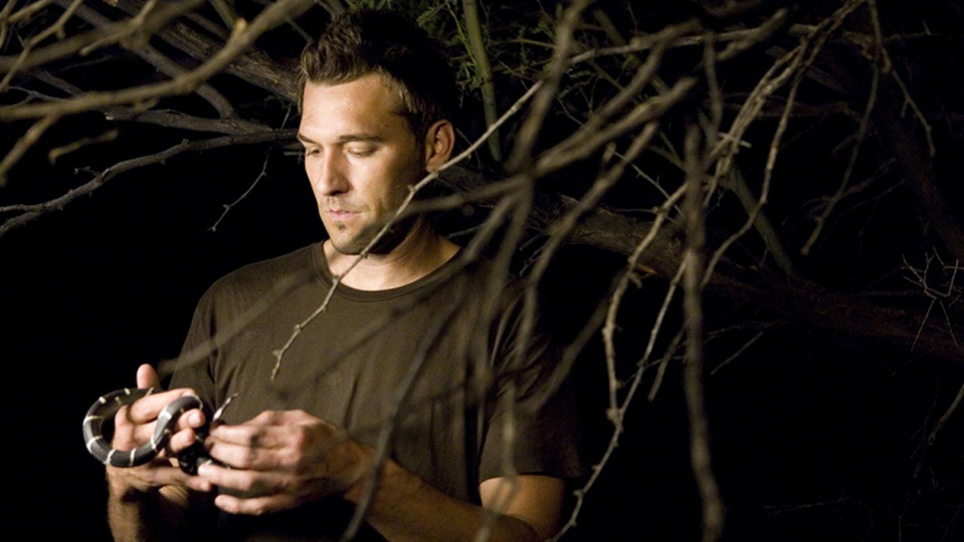 Под покровом ночи (pod-pokrovom-nochi) Документальный сериал