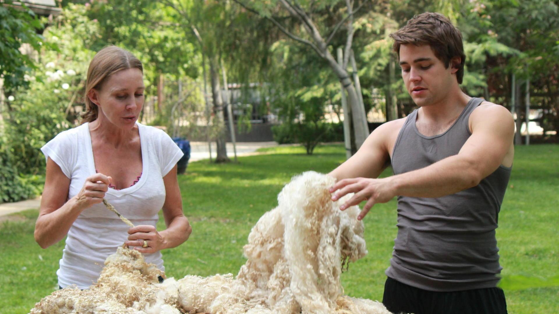 Золотое руно (zolotoe-runo) Реалити-шоу