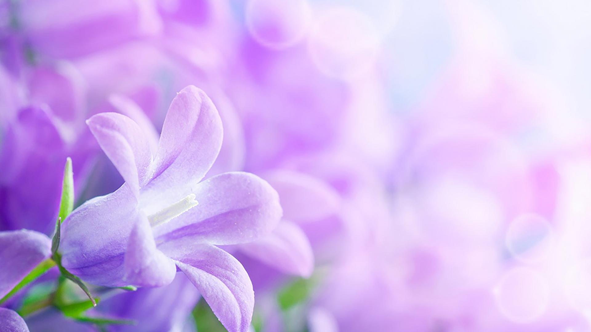 Қазақ аруы (aza-aruy) Досуг, хобби