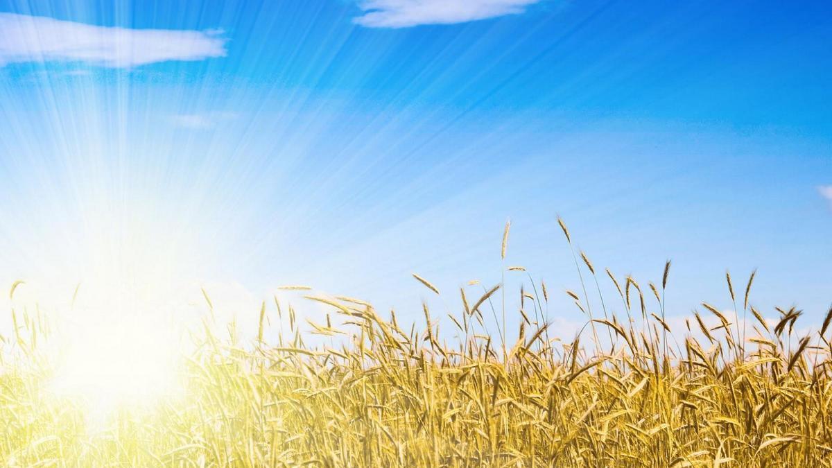 Аграрный вопрос (agrarnyj-vopros) Познавательное